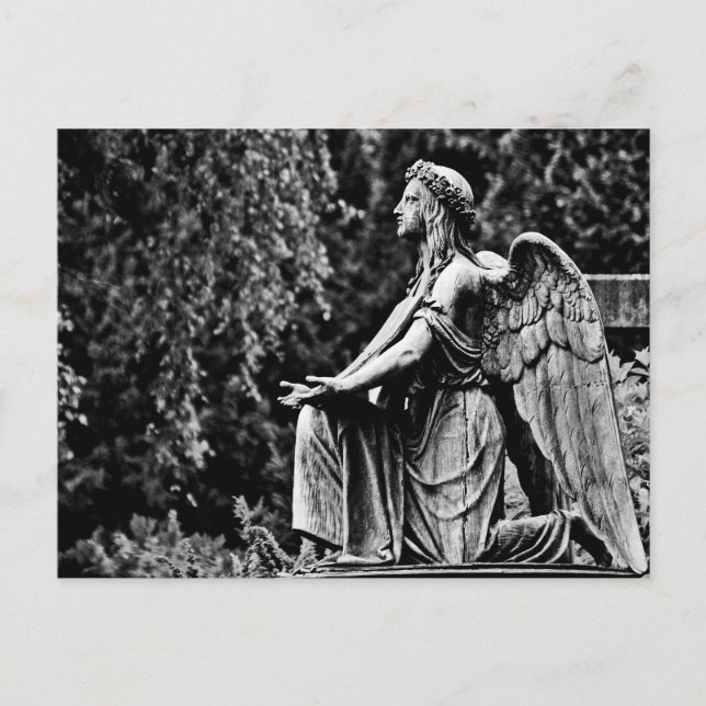 Postal Fotografía en blanco y negro arrodillando ángel (Anverso)