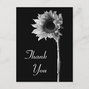 Postal Fotografía en blanco y negro de girasol Gracias