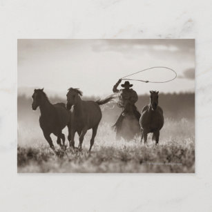Postal Fotografía en blanco y negro de un Cowboy