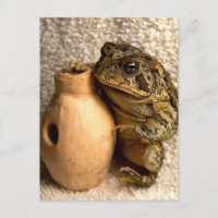 Fotografía en miniatura udu de la rana del sapo