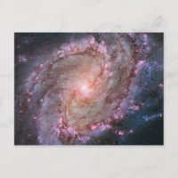 Fotografía espacial rosa Galaxia espiral M83