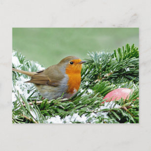 Postal Fotografía europea de la nieve de Robin Pine