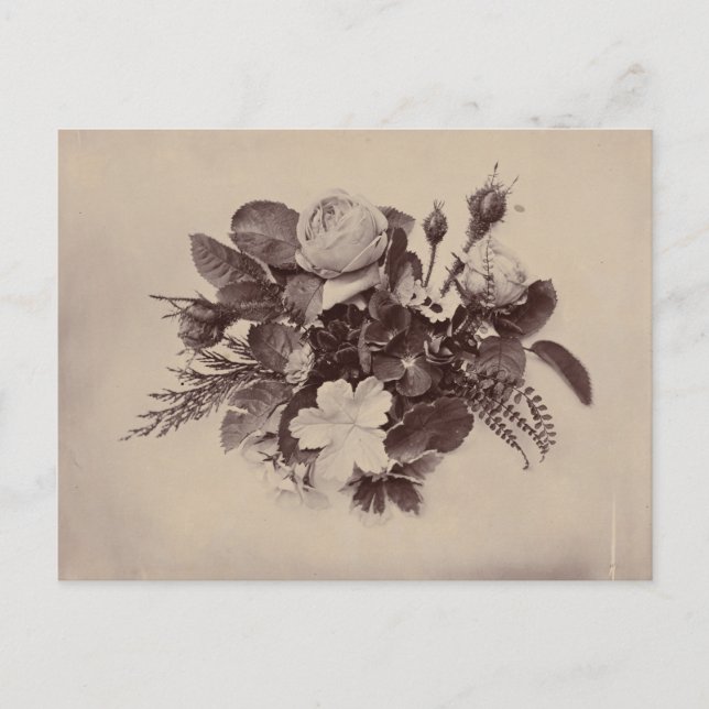 Postal Fotografía floral Arte vintage (Anverso)