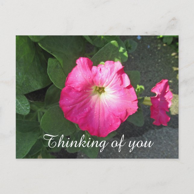 Postal Fotografía floral rosa pensando en ti (Anverso)