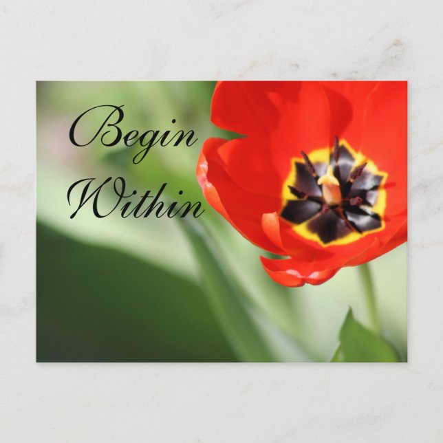 Postal Fotografía interior de tulipanes (Anverso)