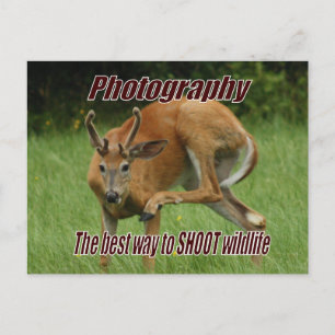 Postal Fotografía, la mejor manera de COMBATIR la vida sa