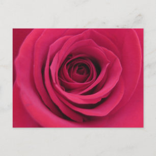 Postal Fotografía Macro Floral Original Rosa Roja