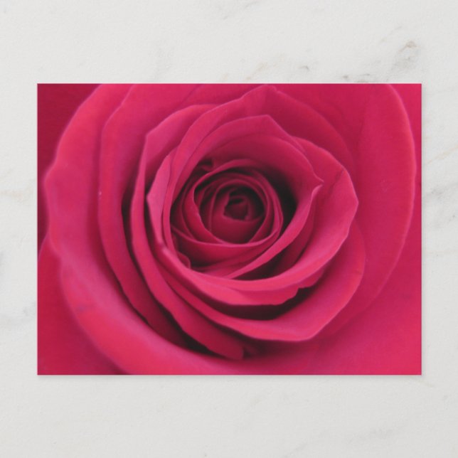 Postal Fotografía Macro Floral Original Rosa Roja (Anverso)