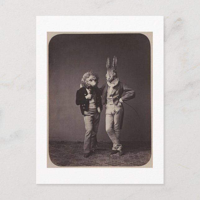 Postal Fotografía original de los disfraces de halloween  (Anverso)