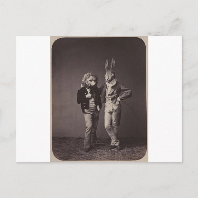 Postal Fotografía original de los disfraces de halloween  (Anverso)