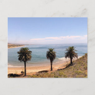 Postal Fotografía Original de Palmeras Paisaje Costero