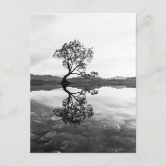 Postal Fotografía paisajística de Wanaka Tree New Zealand