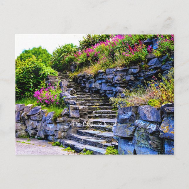 Postal Fotografía panorámica de Dun Laoghaire, Irlanda (Anverso)