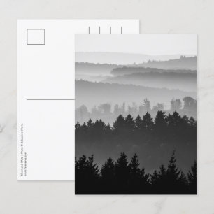 Postal Fotografía panorámica de los bosques en blanco y n