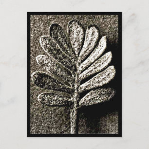 Postal Fotografía postcard-vintage-Karl Blossfeldt 41