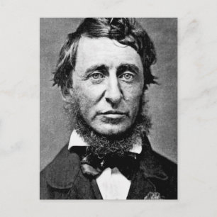 Postal Fotografía retrato de Henry David Thoreau