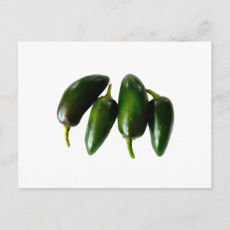 Postal Fotografía verde de cuatro pimientos jalapeno