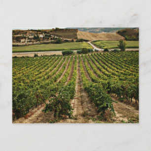 Postal fotografias del Camino de Santiago