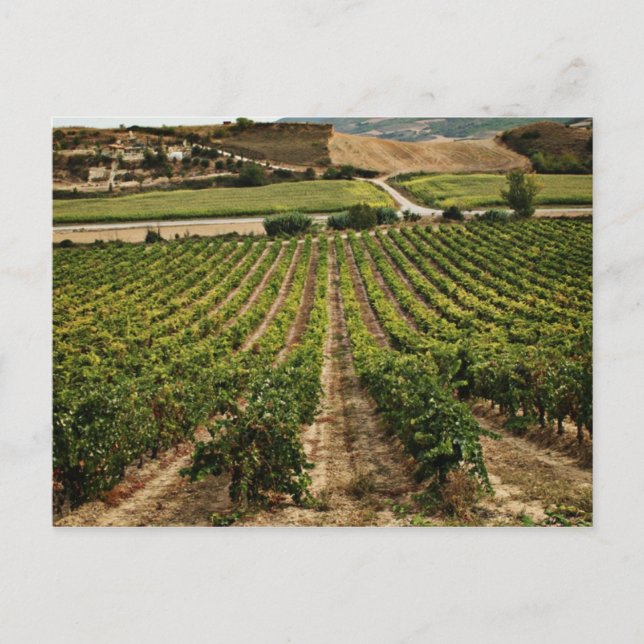 Postal fotografias del Camino de Santiago (Anverso)