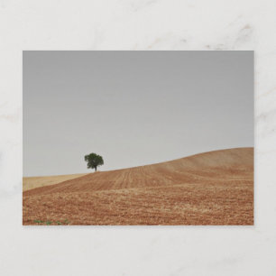 Postal fotografias del Camino de Santiago