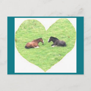 Postal fotográfica 5 Amor a Caballo - Belleza natu