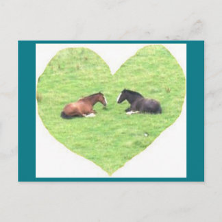 Postal fotográfica 5 Amor a Caballo - Belleza natu