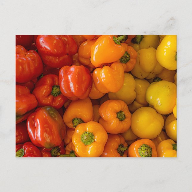 Postal fotográfica Bell Peppers (Anverso)