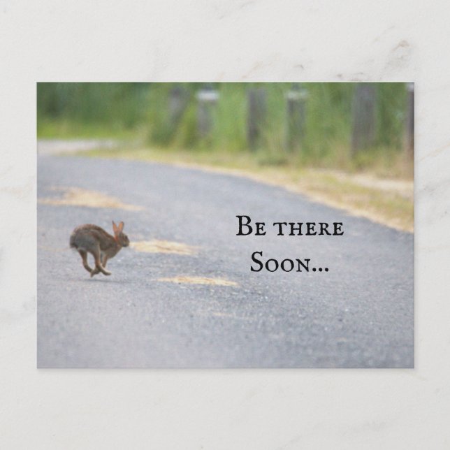 Postal fotográfica Bunny (Anverso)