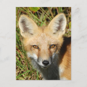 Postal fotográfica clásica