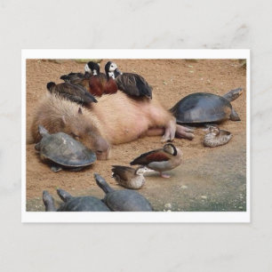 Postal fotográfica clásica