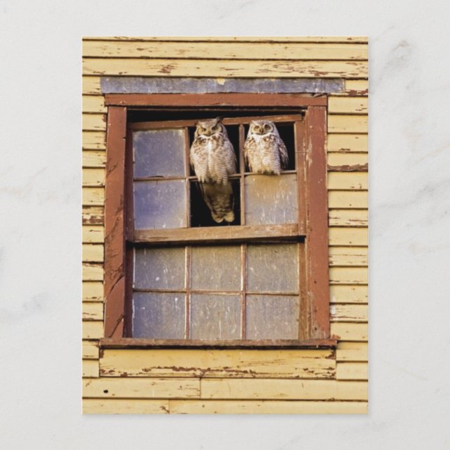 Postal fotográfica clásica (Anverso)