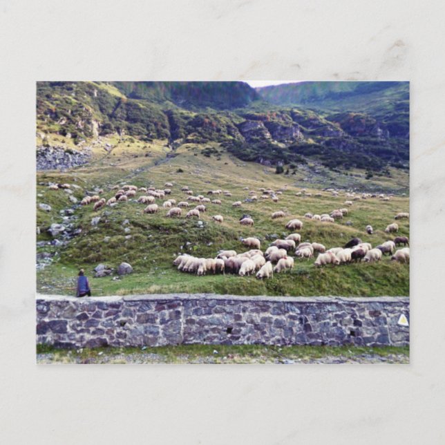 Postal fotográfica clásica (Anverso)