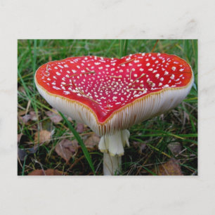 Postal fotográfica clásica