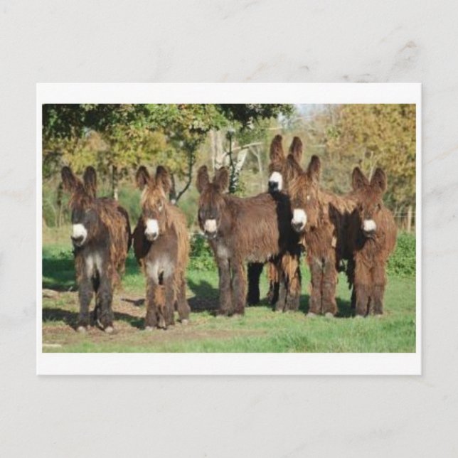 Postal fotográfica clásica (Anverso)