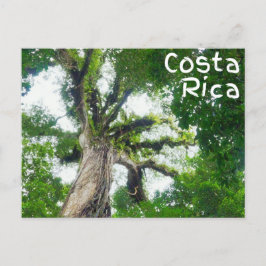 Postal fotográfica de árbol de Costa Rica
