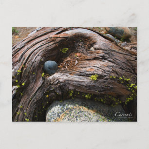 Postal fotográfica de corrientes