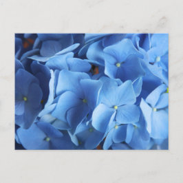 Postal fotográfica de flores de hidrangea azul