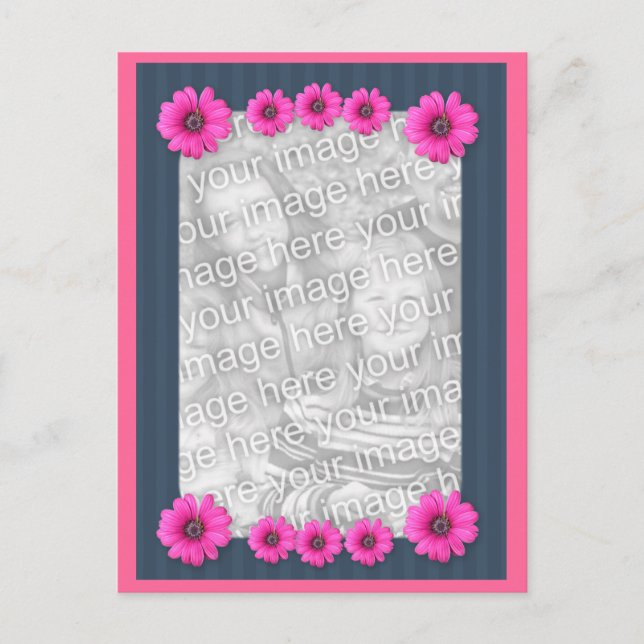 Postal fotográfica de flores rosadas de margarita (Anverso)