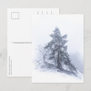 Postal fotográfica de invierno de árbol cubierta d
