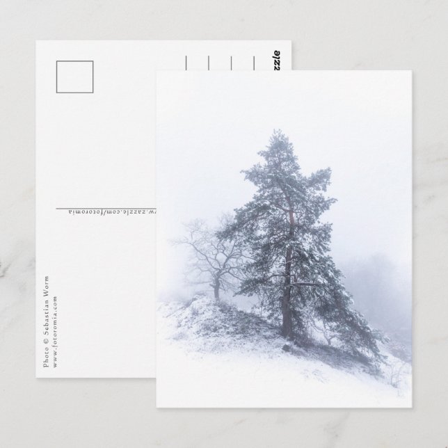 Postal fotográfica de invierno de árbol cubierta d (Anverso / Reverso)