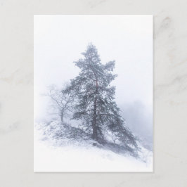 Postal fotográfica de invierno de árbol cubierta d