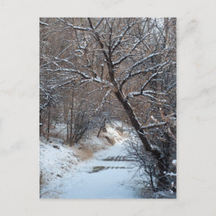 Postal fotográfica de invierno en ruta de nieve