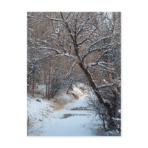 Postal fotográfica de invierno en ruta de nieve