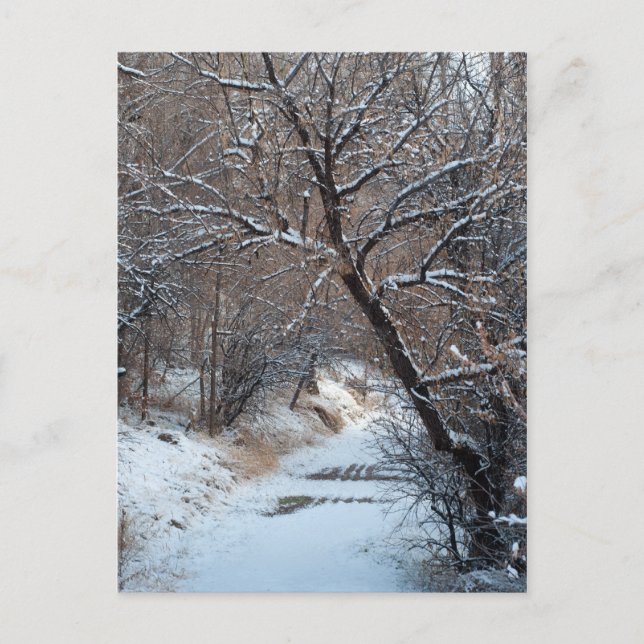 Postal fotográfica de invierno en ruta de nieve (Anverso)