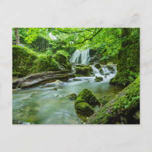 Postal fotográfica de la catarata forestal pacífic