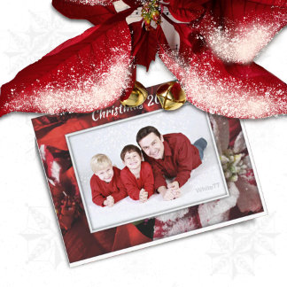 Postal fotográfica de la familia Poinsettia de Nav