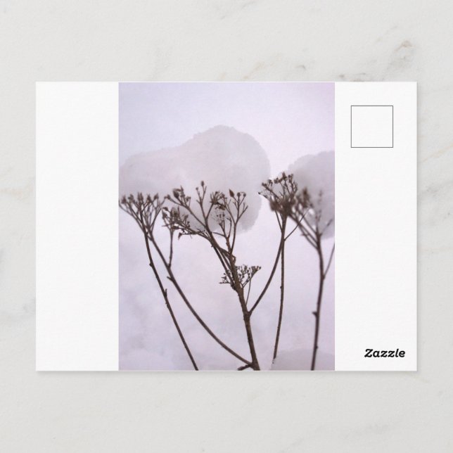 Postal fotográfica de nieve en invierno (Reverso)