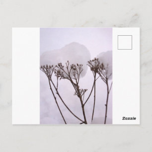 Postal fotográfica de nieve en invierno