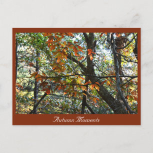 Postal fotográfica de otoño