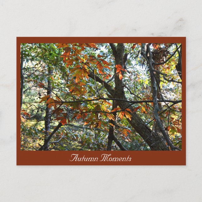 Postal fotográfica de otoño (Anverso)